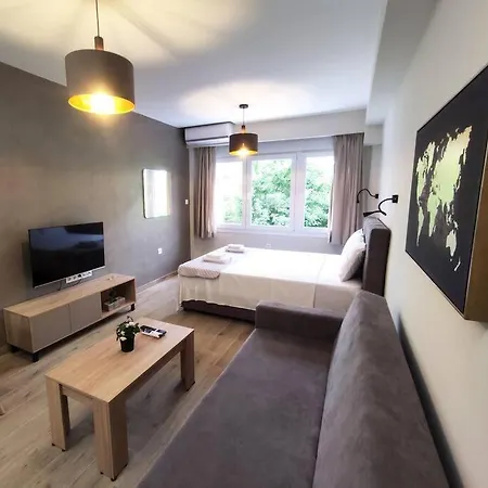 Luxury 2 Apartment