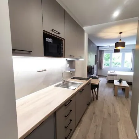 Luxury 2 Apartment